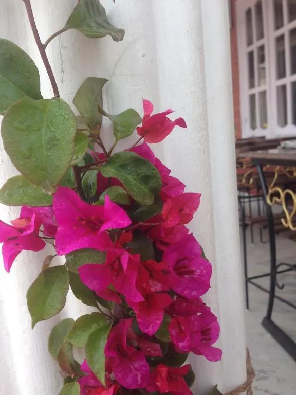 Chef House Resort Katmandou